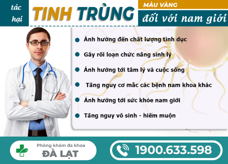 Hình ảnh minh họa